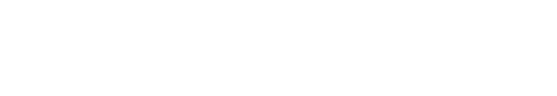 Chartered Professional Accountant